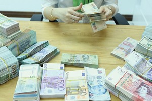 VND được dự báo mất giá từ 2-5% so với USD trong năm nay