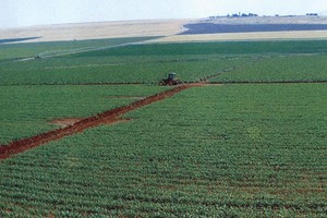 Câu chuyện thần kỳ của nông nghiệp Israel