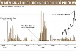 Công ty Trung Quốc gây sốc khi giá cổ phiếu tăng 45 lần trên Nasdaq