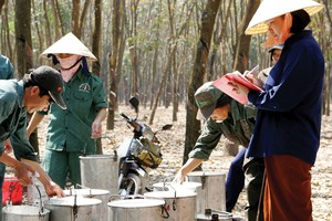 Cổ phần hóa Vinafood2, Tập đoàn Cao su trong năm nay