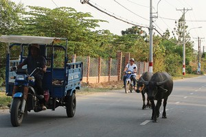 Nhiều khu đất tại quận 9, TP.HCM dù hạ tầng nhếch nhác, nhưng vẫn tăng giá phi mã. Ảnh: Việt Dũng 