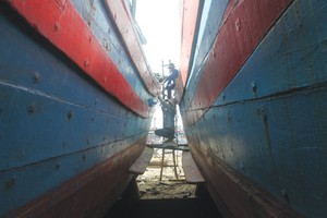 Bảo hiểm tàu cá tiềm ẩn rủi ro cao, tỷ lệ bồi thường tại Bảo Minh năm 2016 lên tới 98,03%