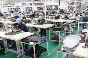 Kinh tế tư nhân, ưu tiên bề rộng hay tập trung đầu tàu?