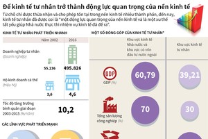[Infographic] Để kinh tế tư nhân trở thành động lực quan trọng của nền kinh tế 