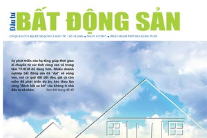 Đầu tư Bất động sản số 19