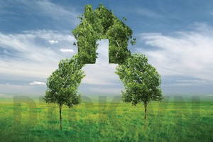 Hướng dẫn cách tự xem phong thủy năm 2017