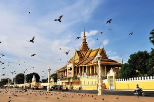Lạc lối ở PhnomPenh