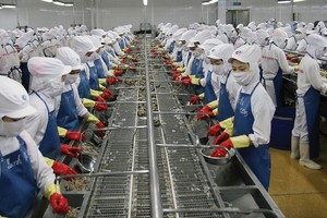 Một trong những điểm Chính phủ cần gỡ cho DN là quy định về làm thêm giờ những lúc cao điểm mùa xuất khẩu.