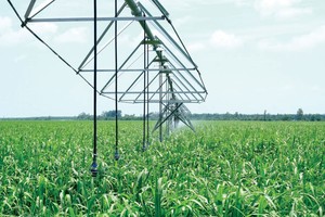 Thương vụ bán mảng mía đường sẽ đem về cho HNG hơn 1.300 tỷ đồng 