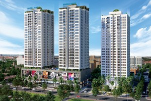 Long Giang Land: Hoạt động chuyên nghiệp và bền vững