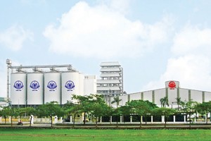 Halico là một trong nhiều doanh nghiệp lớn chưa đưa cổ phiếu lên sàn