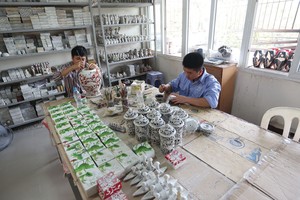 Sau này, có thể loại bỏ tất cả chủ thể hộ gia đình, hộ kinh doanh, tổ hợp tác ra khỏi các đạo luật, nhưng vẫn không thể bỏ chủ thể doanh nghiệp tư nhân
