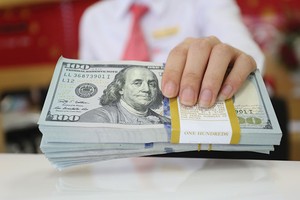 Tỷ giá dự kiến sẽ tăng do lãi suất VND thấp và tác động gián tiếp của việc Fed nâng lãi suất
