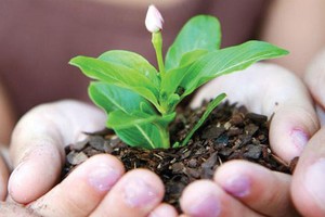 Đại đa số DN Việt Nam chưa “chủ động” xây dựng chiến lược bền vững dài hạn.