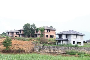 Những biệt thự bỏ hoang ở Yên Bài.Ảnh: Thành Nguyễn
