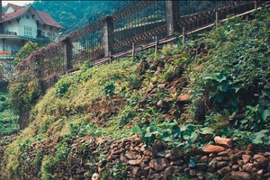 Tam Đảo, phố núi mộng mơ