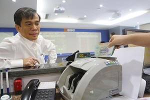 Quyết định hạ lãi suất 0,5%/năm chỉ áp dụng với các khoản vay thuộc đối tượng ưu tiên có kỳ hạn ngắn, nên ít có tác động tới TTCK