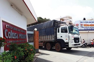 Cổ phiếu Miliket có thể tăng bằng hào quang quá khứ?