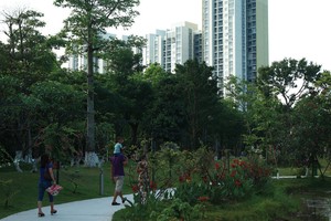 Dự án xanh tại Việt Nam phải đảm bảo 5 tiêu chí, trong đó có mật độ cây xanh. Ảnh: Dũng Minh