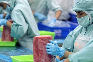 Các dự báo đều đánh giá tích cực về triển vọng kinh tế Việt Nam trong nửa cuối năm 2017 và năm 2018