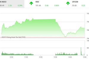 Phiên chiều 3/8: Ngưỡng 800 điểm còn xa