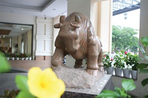 Chứng khoán phái sinh không chỉ là công cụ đầu tư tài chính mới và hấp dẫn, mà còn là công cụ quản trị rủi ro quan trọng