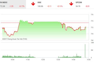 Phiên chiều 11/8: Thiếu lực đỡ, thị trường không thể hồi phục