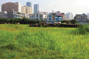 Với đất nền có giá trị thật, việc tăng giá theo các chuyên gia là điều bình thường. Ảnh: Lê Toàn