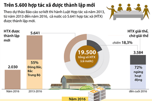 [Infographic] Trên 5.600 hợp tác xã được thành lập mới