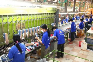 Sản xuất giày xuất khẩu tại Công ty Giày Thượng Đình