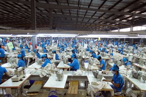 Cổ phiếu dệt may dồn dập lên sàn