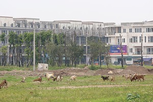 Nhiều dự án bỏ hoang gây lãng phí tài nguyên đất và mất mỹ quan đô thị của các thành phố. Ảnh: Dũng Minh
