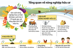 [Infographic]Tổng quan về nông nghiệp hữu cơ