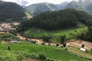Bay lên “mùa vàng” Mù Cang Chải