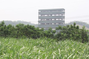 Niên độ 2016 - 2017, SLS lãi gấp 2,5 lần kế hoạch