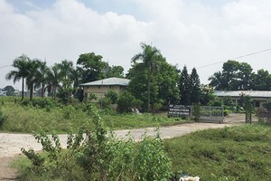 Nhiều dự án tại Mê Linh được khởi công hơn 10 năm nay, nhưng hiện chỉ là bãi đất trống, cỏ mọc um tùm. Ảnh: Nhất Nam