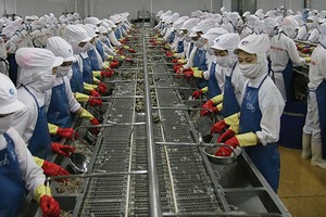 Minh Phú chuẩn bị đưa cổ phiếu lên sàn UPCoM