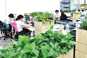 Văn phòng xanh ngoài mảng xanh, yếu tố quan trọng chính là sáng kiến vận hành văn phòng một cách tiết kiệm và hiệu quả. 