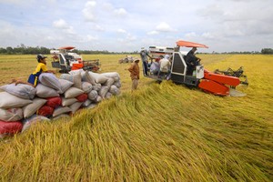 Thủ tướng chủ trì Hội nghị quy mô nhất từ trước đến nay về phát triển bền vững ĐBSCL