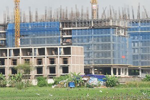 Nhiều dự án chung cư vùng ven có giá trên dưới 20 triệu đồng/m2. Ảnh: Nguyễn Thành.