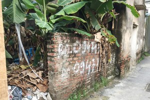 Nhiều diện tích đất được chia nhỏ bán trao tay