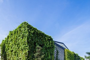 Xưởng may xanh mướt bị nhầm là resort ở Sài Gòn