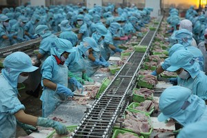 Doanh nghiệp thủy sản  dễ chịu tổn thương từ thị trường, nên tiềm ẩn rủi ro lớn