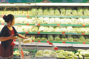 Những rủi ro nào mà kinh tế Việt Nam đang phải đối mặt?