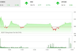 Phiên chiều 9/10: HAI tiếp tục nổi sóng, thị trường giữ vững đà tăng