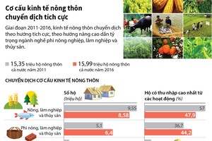 [Infographic] Cơ cấu kinh tế nông thôn chuyển dịch tích cực