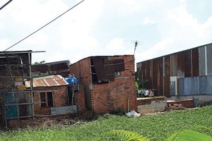 Những căn nhà tạm của người nhập cư. Ảnh: Lê Thắng.