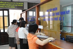 Ảnh minh họa. (Nguồn: TTXVN)