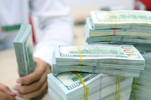 NHNN liên tục hạ giá USD và tăng mua vào, quy luật tỷ giá tăng cuối năm đang thay đổi