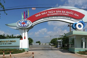 IDI là một trong những doanh nghiệp chế biến, xuất khẩu cá tra lớn nhất Việt Nam, gần đây giá cổ phiếu tăng cao, nhiều cổ đông nội bộ đăng ký bán ra cổ phiếu